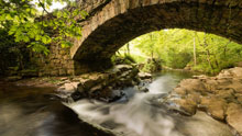 Речка, каменный мост, течение
